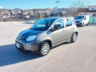 Occasion Fiat Panda City Life 70 ch (51 kW) 2023 Gris Berline
