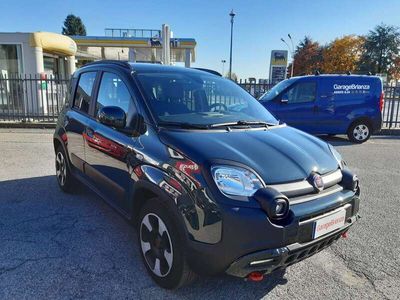 usata Fiat Panda Cross Panda 1.0 firefly hybrid s