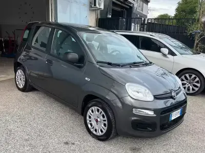 Usata Fiat Panda Lounge 69 CV (50 kW) 2018 Grigio Utilitaria