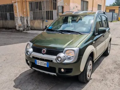 Usata Fiat Panda Cross 69 CV (50 kW) 2010 Verde Utilitaria