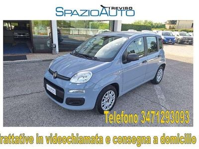 Usata Fiat Panda City Life 69 CV (50 kW) 2022 Grigio Utilitaria