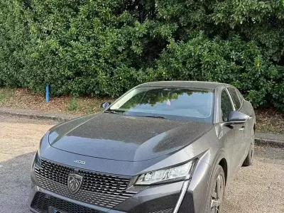Usata Peugeot 408