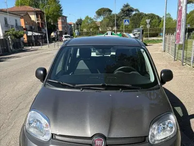 Usata Fiat Panda S 69 CV (50 kW) 2022 Utilitaria