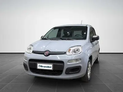 Usata Fiat Panda Easy 69 CV (50 kW) 2019 Grigio moda Utilitaria
