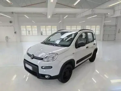 Usata Fiat Panda 4x4 Wild 85 CV (62 kW) 2022 Utilitaria