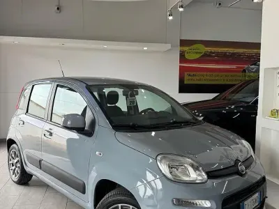 Usata Fiat Panda Lounge 69 CV (50 kW) 2019 Grigio Utilitaria