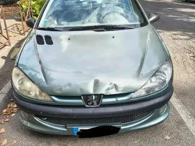 Usata Peugeot 206
