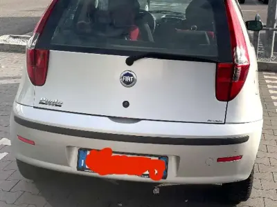 Usata Fiat Punto S 60 CV (44 kW) 2009 Utilitaria