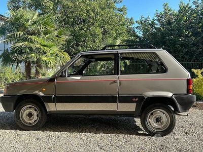 Usata Fiat Panda 4x4 50 CV (36 kW) 1987 Grigio Utilitaria