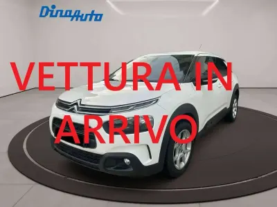 Usata Citroën C4 PureTech 110 CV (80 kW) 2020 Bianco SUV