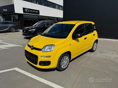 Nuova Fiat Panda 70 CV (51 kW) 2025 Giallo Utilitaria