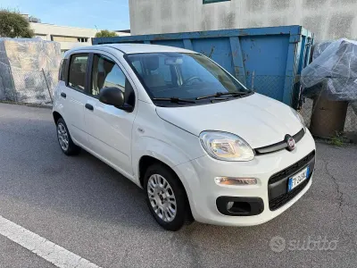 Usata Fiat Panda Easy 69 CV (50 kW) 2019 Bianco Utilitaria