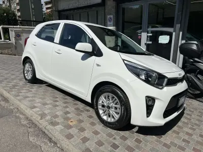 Usata Kia Picanto Urban 67 CV (49 kW) 2024 Bianco Utilitaria