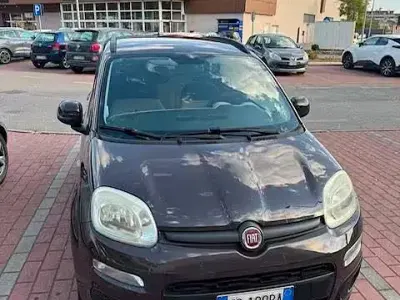 Usata Fiat Panda Easy 85 CV (62 kW) 2013 Marrone Utilitaria