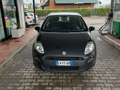 Usata Fiat Punto Evo 69 CV (50 kW) 2014 Grigio Utilitaria