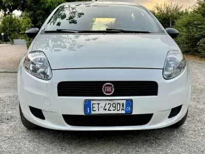 Usata Fiat Punto Lounge 75 CV (55 kW) 2013 Utilitaria