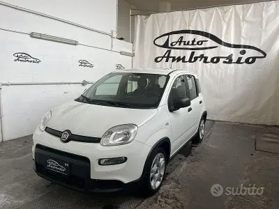 Usata Fiat Panda S 70 CV (51 kW) 2024 Bianco Utilitaria
