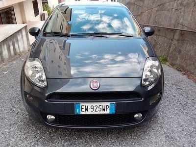 Usata Fiat Punto 85 CV (62 kW) 2014 Utilitaria
