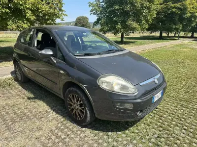 Usata Fiat Punto Evo