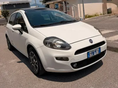 Usata Fiat Punto Lounge 85 CV (62 kW) 2015 Bianco Utilitaria