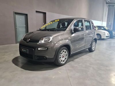 usata Fiat Panda 1.0 1.0 70cv Hybrid