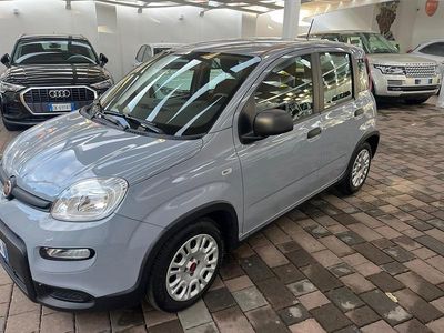 Usata Fiat Panda City Life 69 CV (50 kW) 2023 Grigio Utilitaria