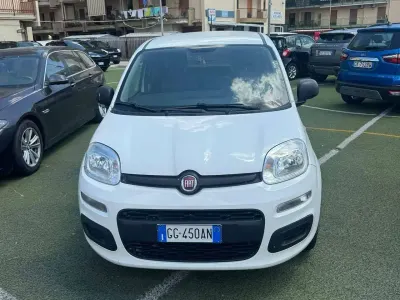Usata Fiat Panda Active 69 CV (50 kW) 2021 Bianco Utilitaria