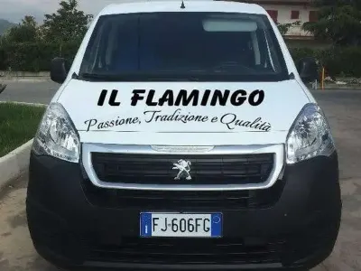 Usata Peugeot TePee