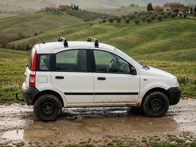 Usata Fiat Panda 4x4 Climbing 60 CV (44 kW) 2006 Bianco Utilitaria