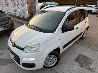 Usata Fiat Panda Lounge 71 CV (52 kW) 2020 Bianco Utilitaria