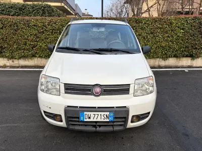 Usata Fiat Panda Dynamic 60 CV (44 kW) 2009 Bianco Utilitaria