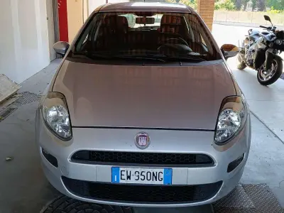 Usata Fiat Punto Evo 75 CV (55 kW) 2014 Grigio Utilitaria