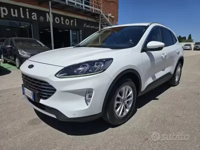 Usata Ford Kuga ST-Line X 120 CV (88 kW) 2023 Bianco SUV
