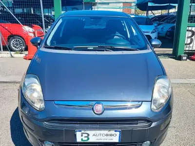 Usata Fiat Punto Evo Dynamic 77 CV (56 kW) 2015 Grigio Utilitaria