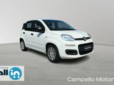 Usata Fiat Panda Icon 65 CV (47 kW) 2026 Bianco Utilitaria