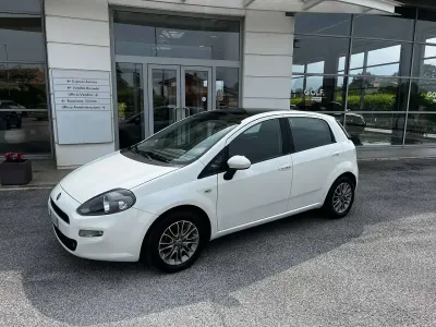 Usata Fiat Punto Lounge 77 CV (56 kW) 2012 Bianco gelato Utilitaria