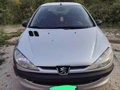 Usata Peugeot 206