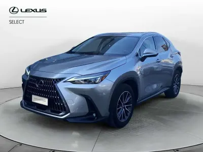 Usata Lexus NX350h 243 CV (178 kW) 2022 Grigio SUV