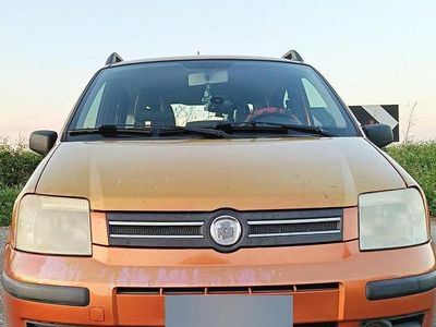 Usata Fiat Panda 69 CV (50 kW) 2008 Utilitaria