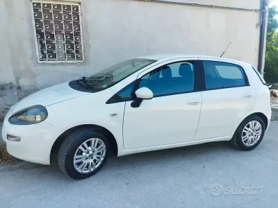 Usata Fiat Punto 75 CV (55 kW) 2013 Bianco Utilitaria