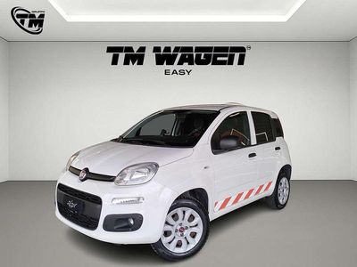 Usata Fiat Panda 80 CV (58 kW) 2020 Bianco Utilitaria