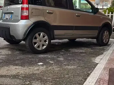 Usata Fiat Panda 4x4 60 CV (44 kW) 2007 Grigio Utilitaria