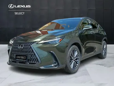 Usata Lexus NX300h