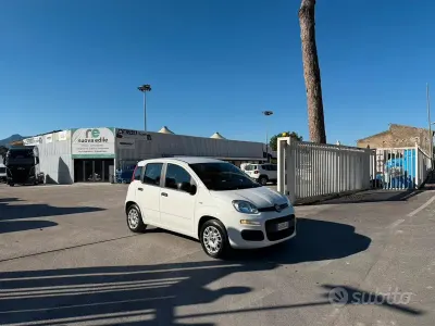 Usata Fiat Panda 69 CV (50 kW) 2021 Bianco Utilitaria