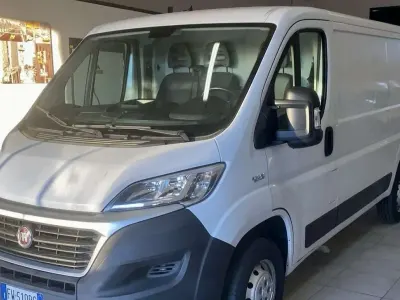 Usata Fiat Ducato 136 CV (100 kW) 2019 Bianco Furgone