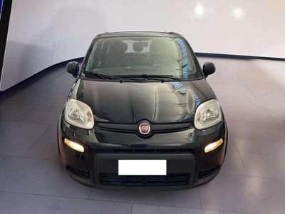 Usata Fiat Panda S 69 CV (50 kW) 2023 Other Utilitaria