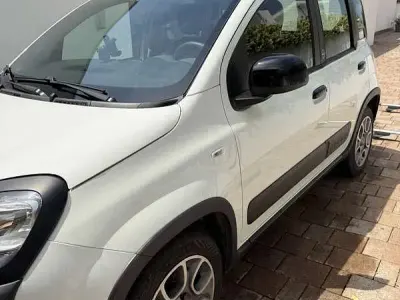 Usata Fiat Panda Connect 69 CV (50 kW) 2020 Utilitaria
