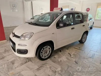 Usata Fiat Panda Easy 69 CV (50 kW) 2021 Bianco Utilitaria