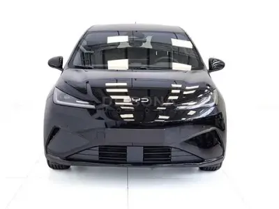 Usata BYD Dolphin