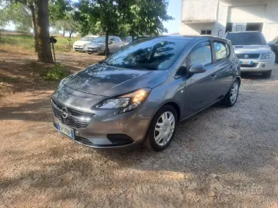 Usata Opel Corsa Innovation 69 CV (50 kW) 2019 Grigio Utilitaria